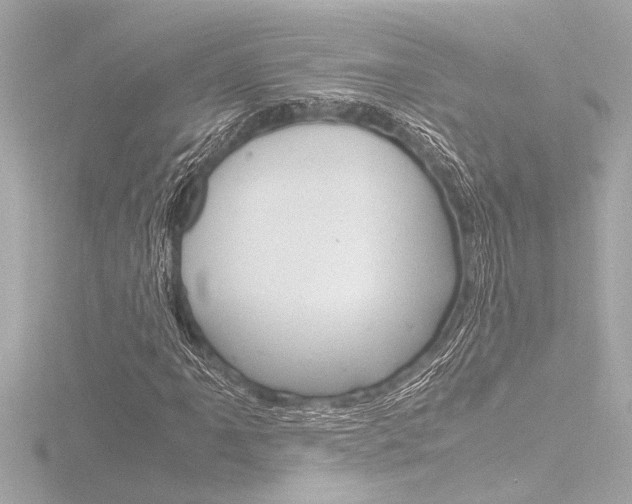 X0000116821061200912181110