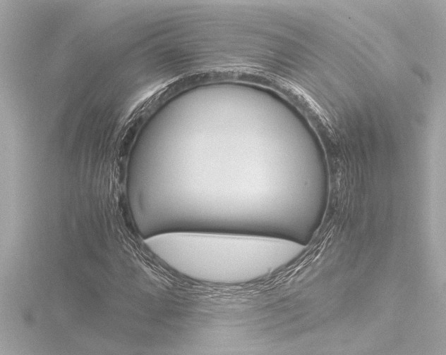 X0000116821064200912181110