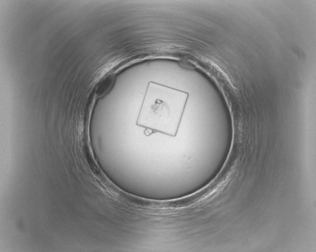 X0000116821065200912181110