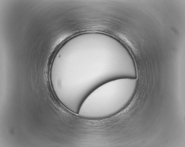 X0000116821071200912181110