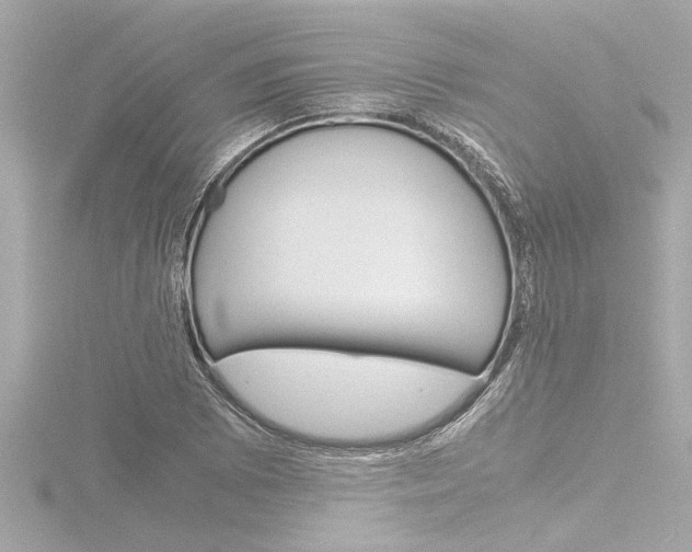 X0000116821073200912181110