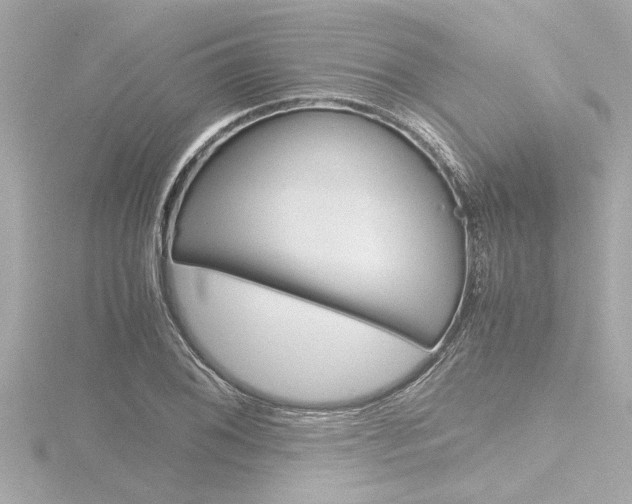 X0000116821076200912181110
