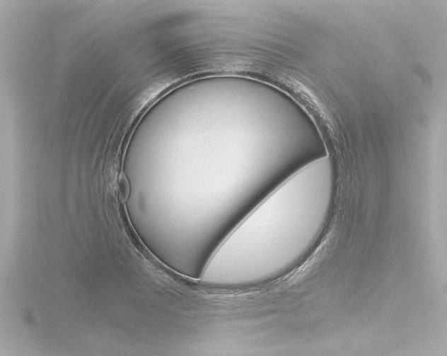 X0000116821081200912181110