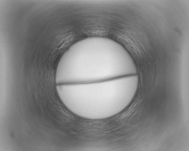 X0000116821107200912181109