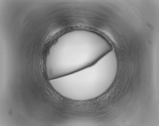 X0000116821111200912181109