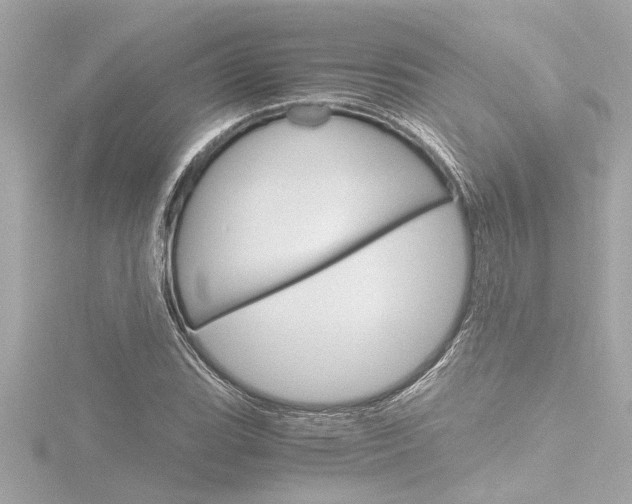X0000116821119200912181109