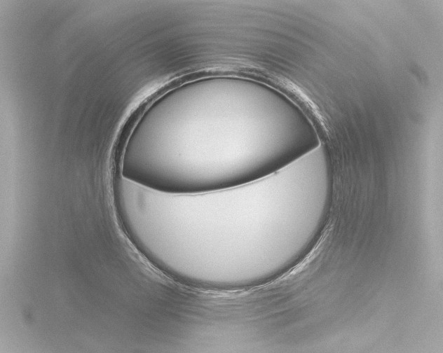 X0000116821122200912181109