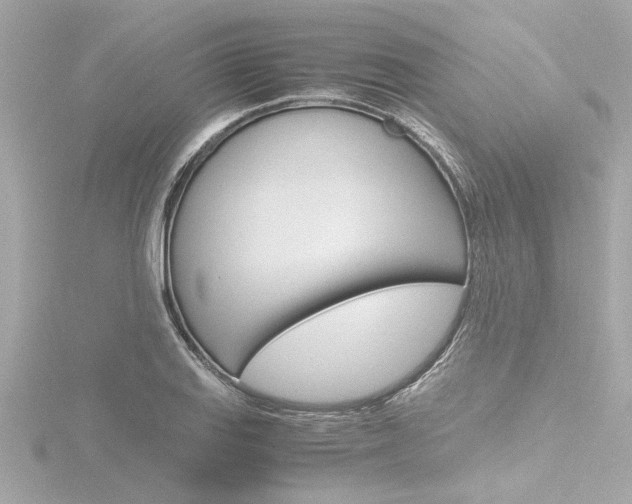 X0000116821127200912181109