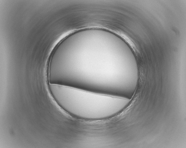 X0000116821142200912181109
