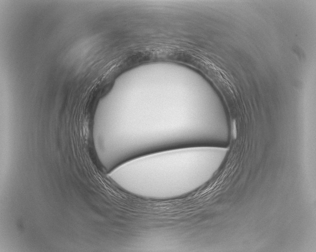 X0000116821155200912181109