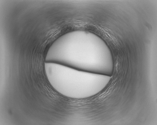 X0000116821156200912181109
