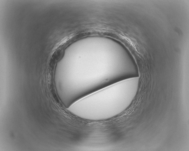 X0000116821159200912181109