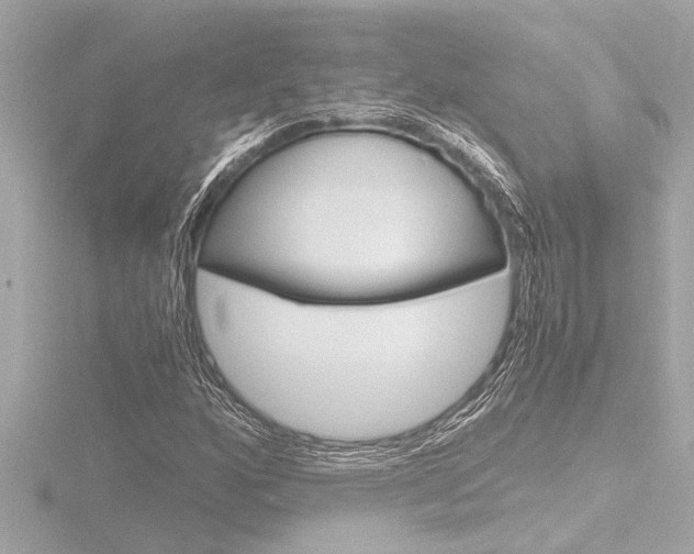 X0000116821160200912181109