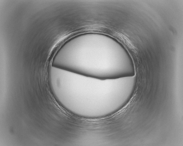 X0000116821164200912181109