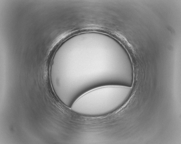 X0000116821167200912181108