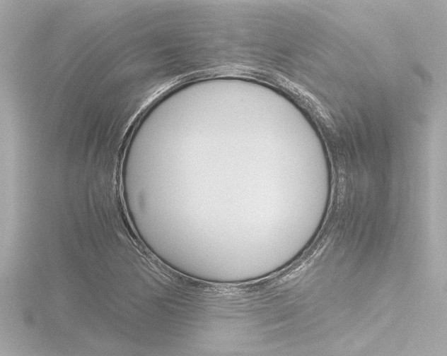 X0000116821170200912181108