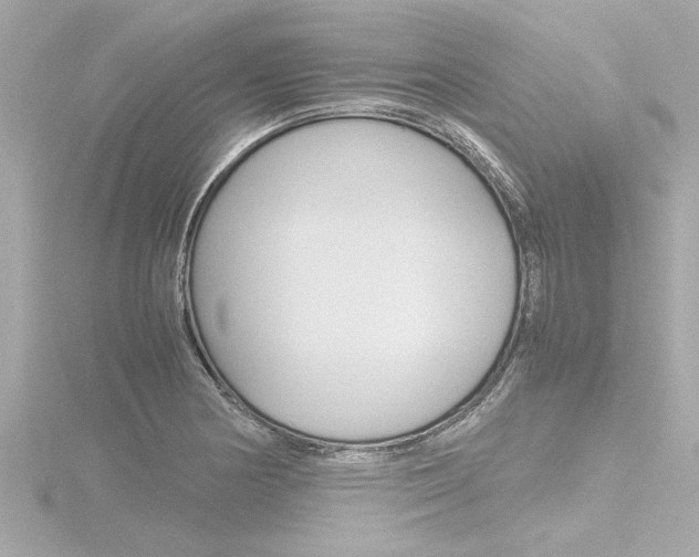 X0000116821178200912181108