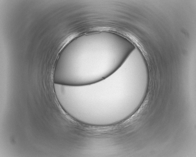 X0000116821193200912181108