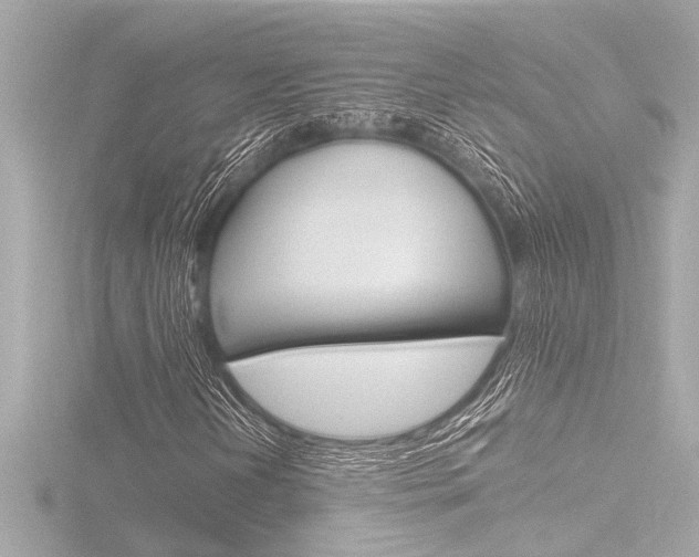X0000116821202200912181107