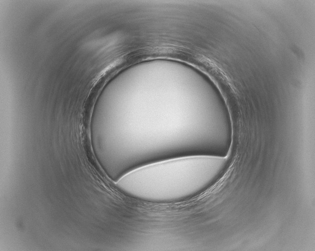 X0000116821210200912181108