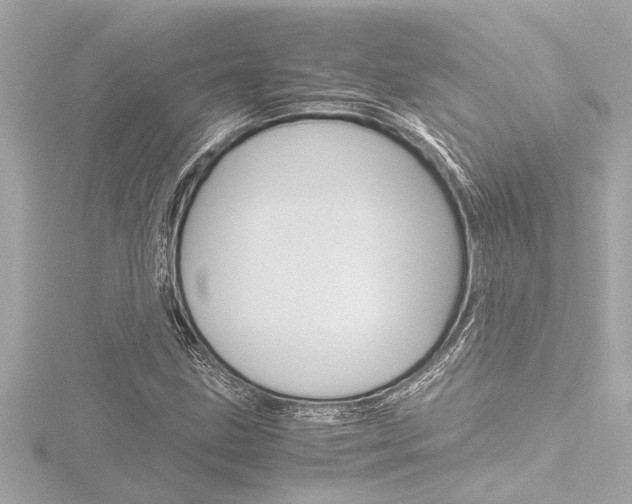 X0000116821211200912181108