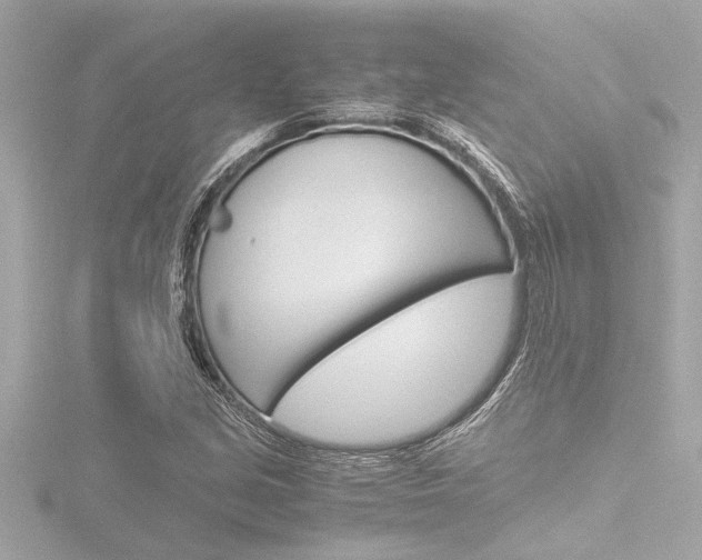 X0000116821213200912181108