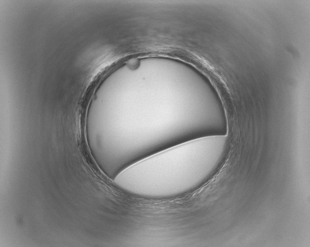 X0000116821214200912181108
