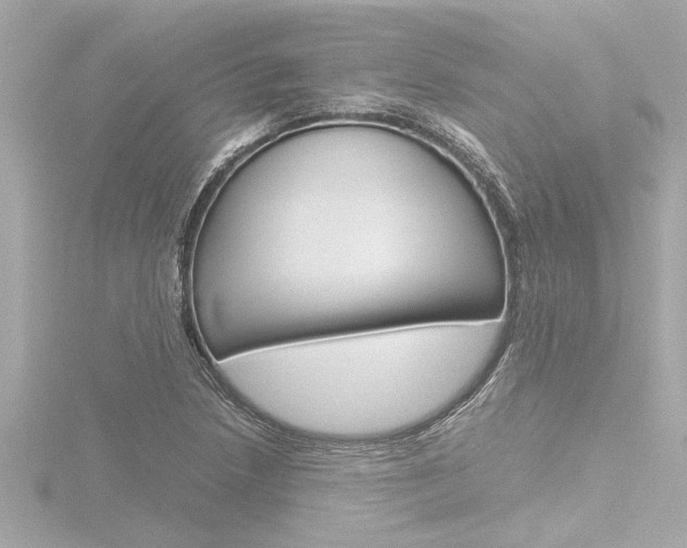 X0000116821218200912181108