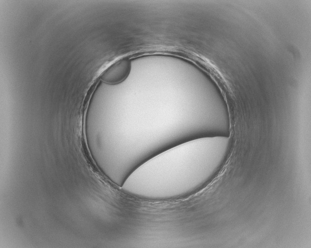 X0000116821220200912181108