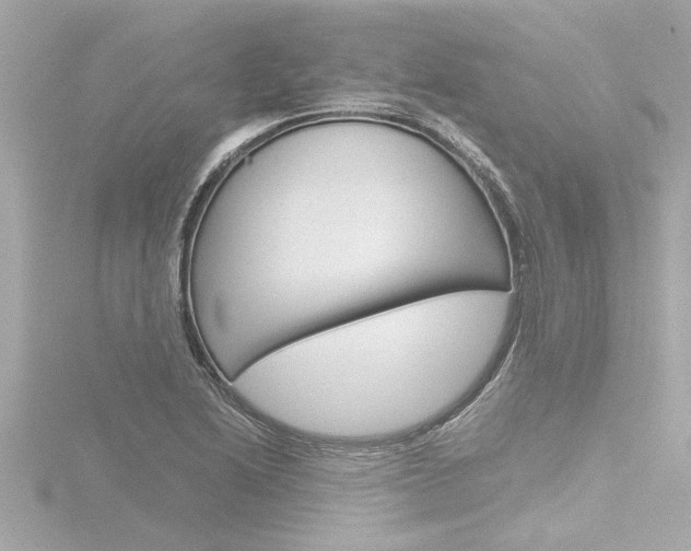 X0000116821222200912181108