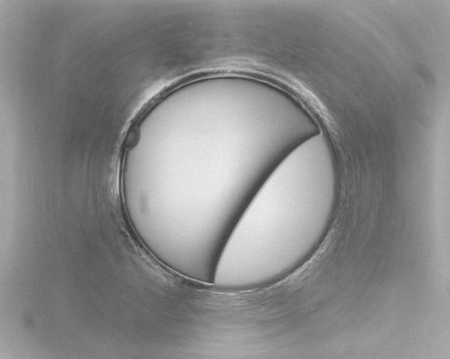X0000116821224200912181108