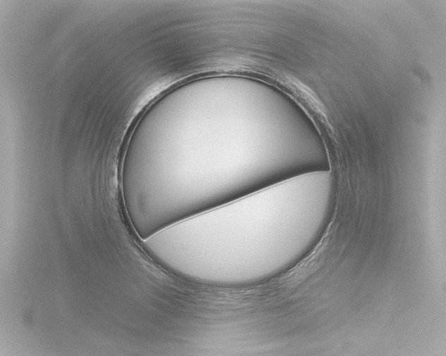 X0000116821226200912181108