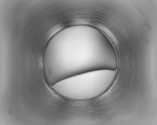 X0000116821241200912181108