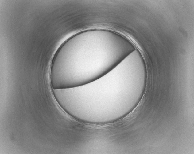 X0000116821246200912181108