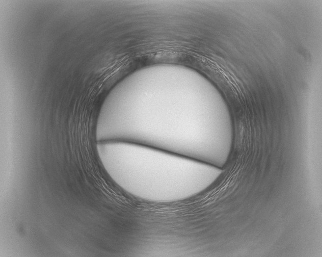 X0000116821250200912181107