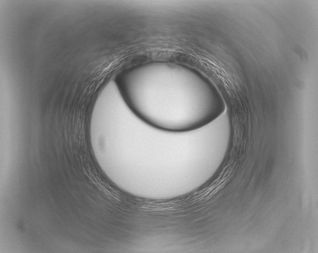 X0000116821252200912181107