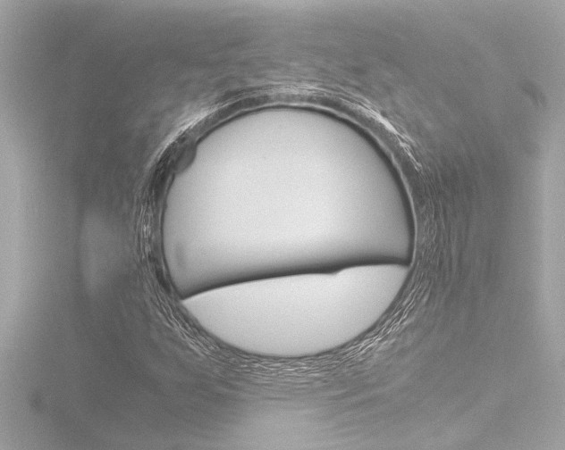 X0000116821255200912181107