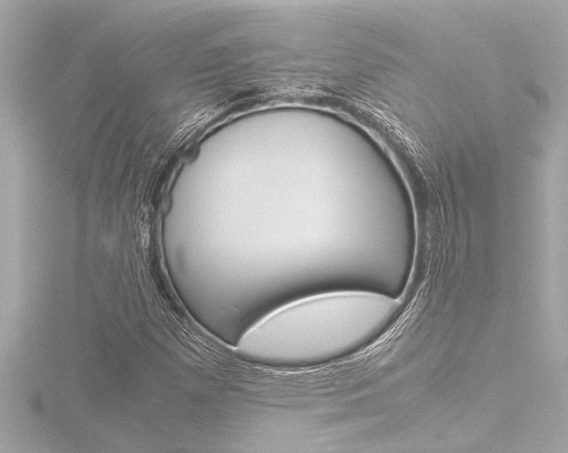 X0000116821257200912181107