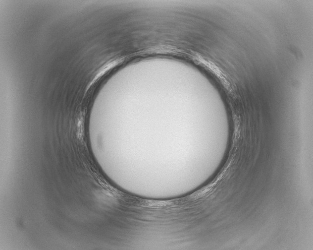 X0000116821258200912181107