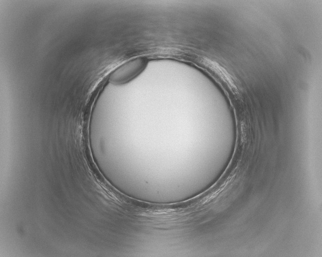 X0000116821260200912181107
