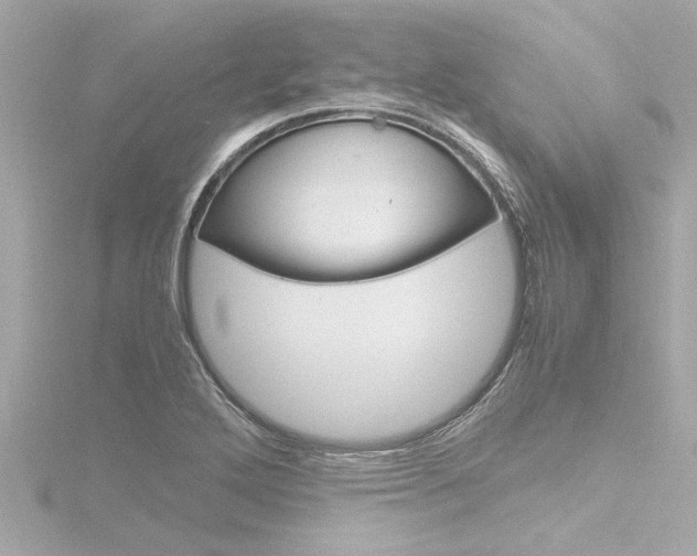 X0000116821272200912181107