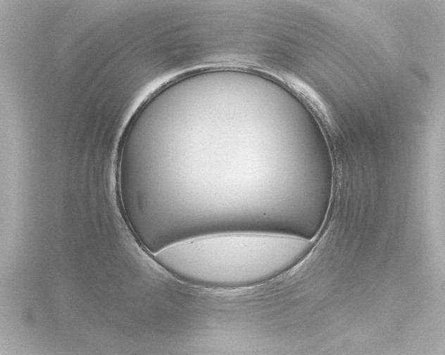 X0000116821288200912181107