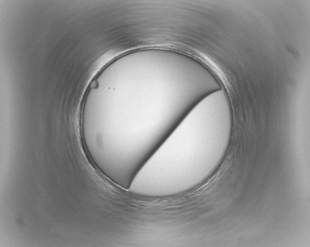 X0000116821291200912181107