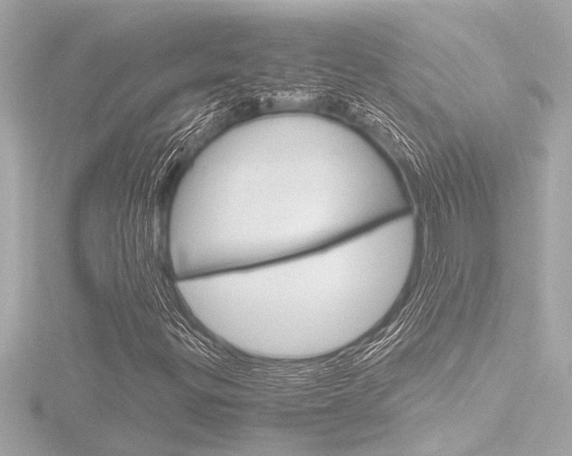 X0000116821299200912181106