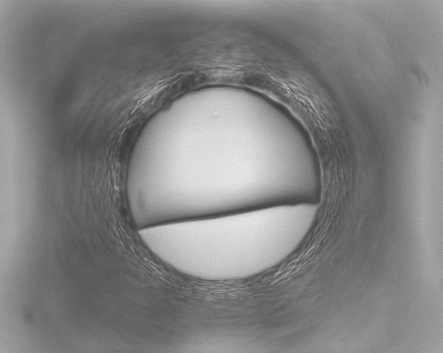 X0000116821301200912181106