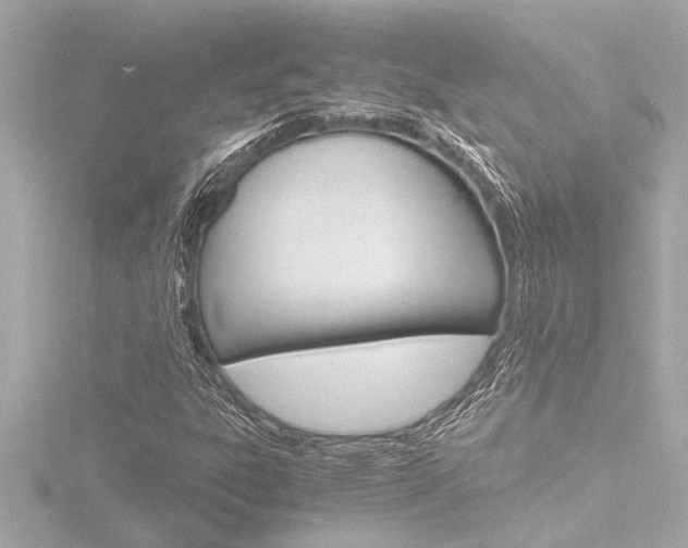 X0000116821303200912181106