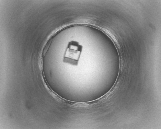 X0000116821342200912181107