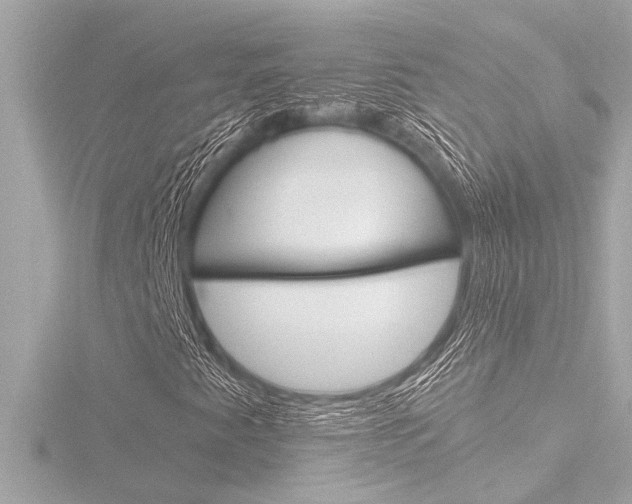 X0000116821345200912181106