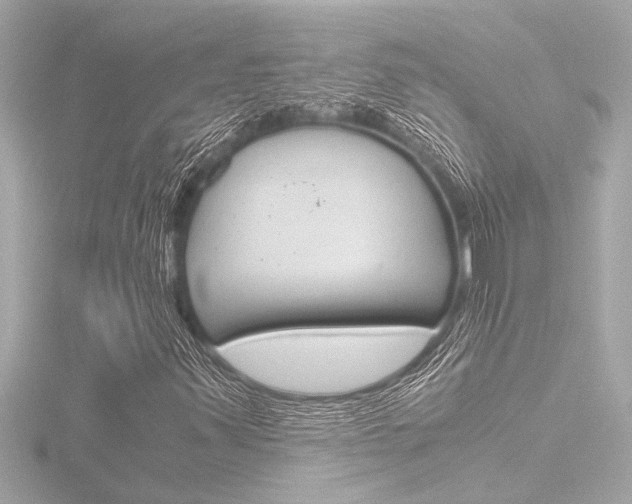 X0000116821347200912181106