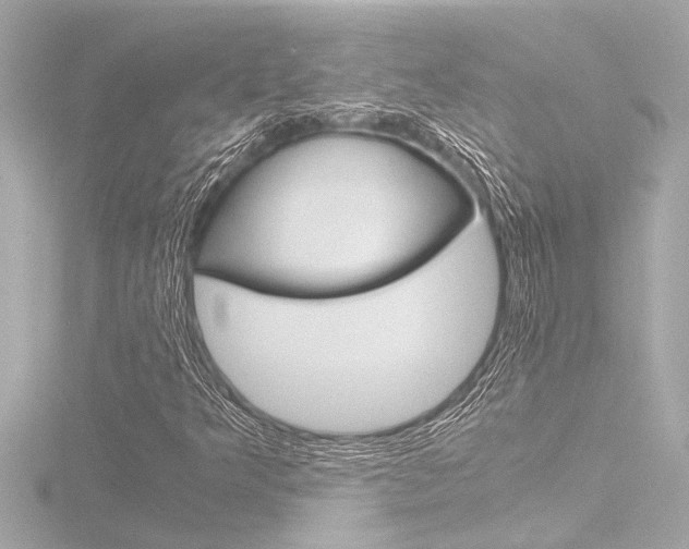 X0000116821349200912181106